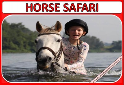 Marmaris Horse Safari